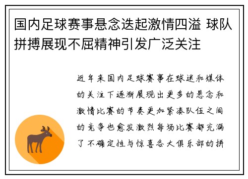 国内足球赛事悬念迭起激情四溢 球队拼搏展现不屈精神引发广泛关注