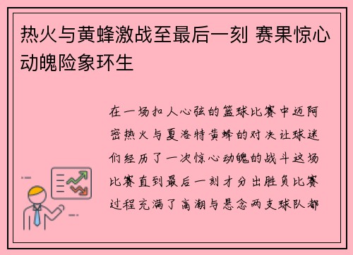 热火与黄蜂激战至最后一刻 赛果惊心动魄险象环生